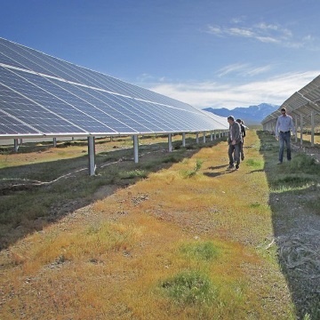 صحراء مزرعة للطاقة الشمسية يمكن أن تحسن فعلا الصحراء السلحفاة الموئل