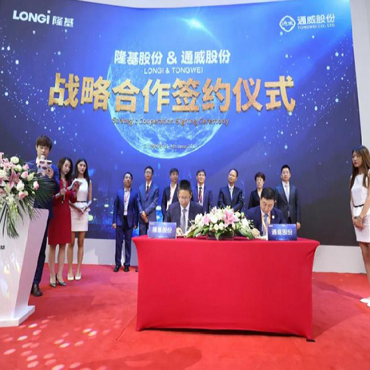 توقيع رسمي! وقعت تونغوي الأسهم المشتركة و lungji الأسهم المشتركة 15gw اتفاق التعاون الاستراتيجي